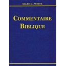 Commentaire biblique