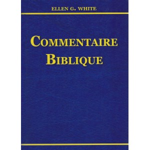 Commentaire biblique