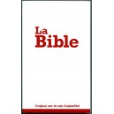 Bible Louis Second 1910